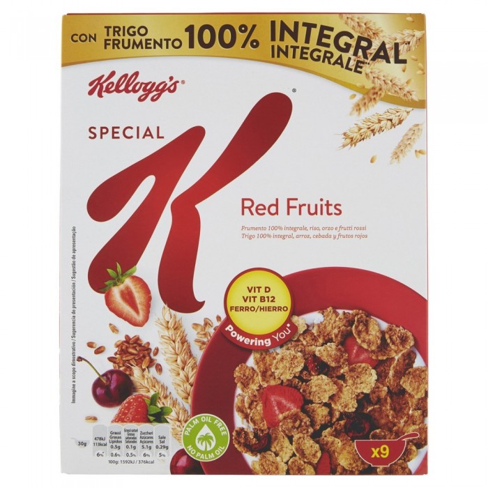 KELLOGG S SPECIAL KEY FRUTTI ROSSI G. 290