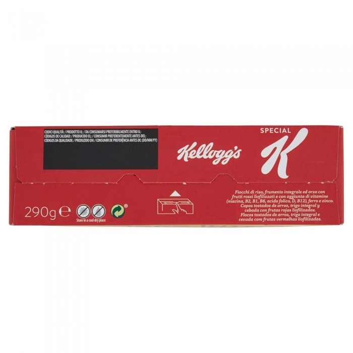 KELLOGG S SPECIAL KEY FRUTTI ROSSI G. 290