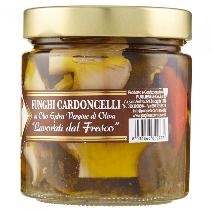 FUNGHI CARDONCELLI OLIO EXTRA VERGINE PUGLIESE GR.340