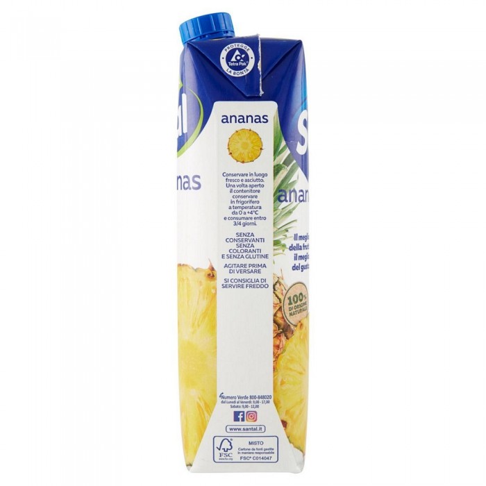 SUCCO ANANAS BIO 0,20LT