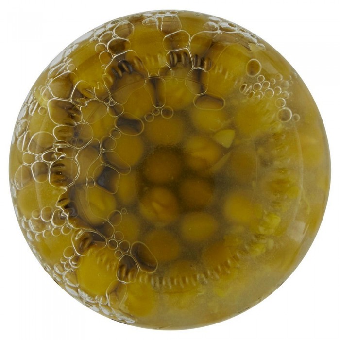 'PISELLI ALCENERO VASO GR.300'