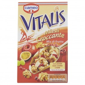 'VITALIS MIX DI FRUTTA GR.250'